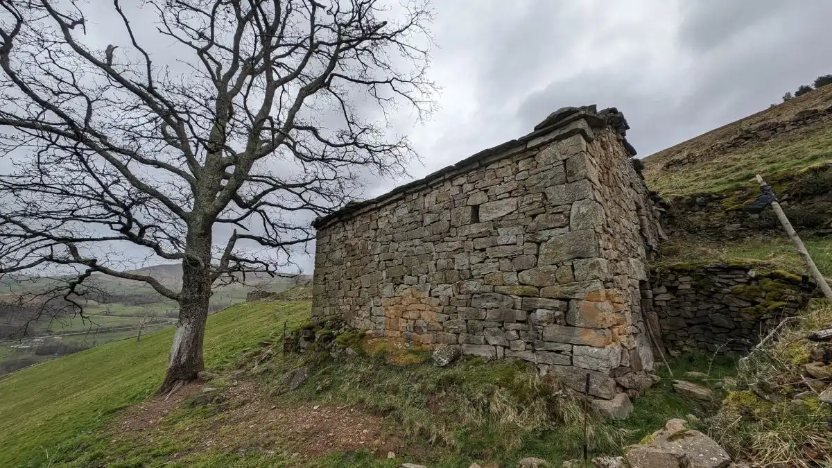 Vista exterior de Finca rústica en venta en Selaya