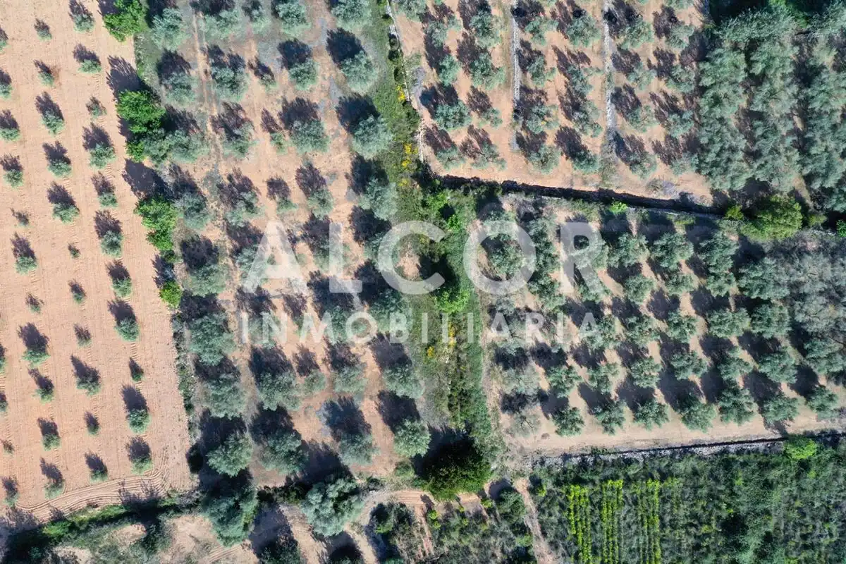 Finca rústica en venta en Cervera del Maestre