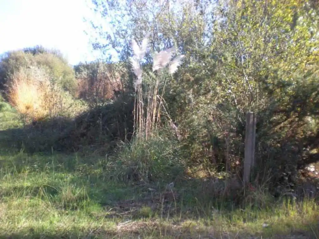 Terreno rustico in vendita a TOMBO, imagen 3