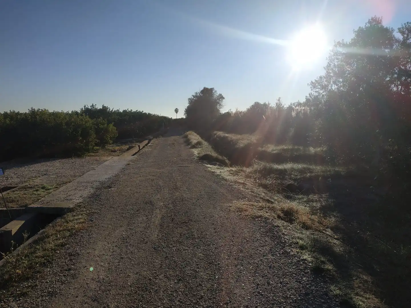 Land for sale in Polígono Número 18, 4, Albalat de la Ribera