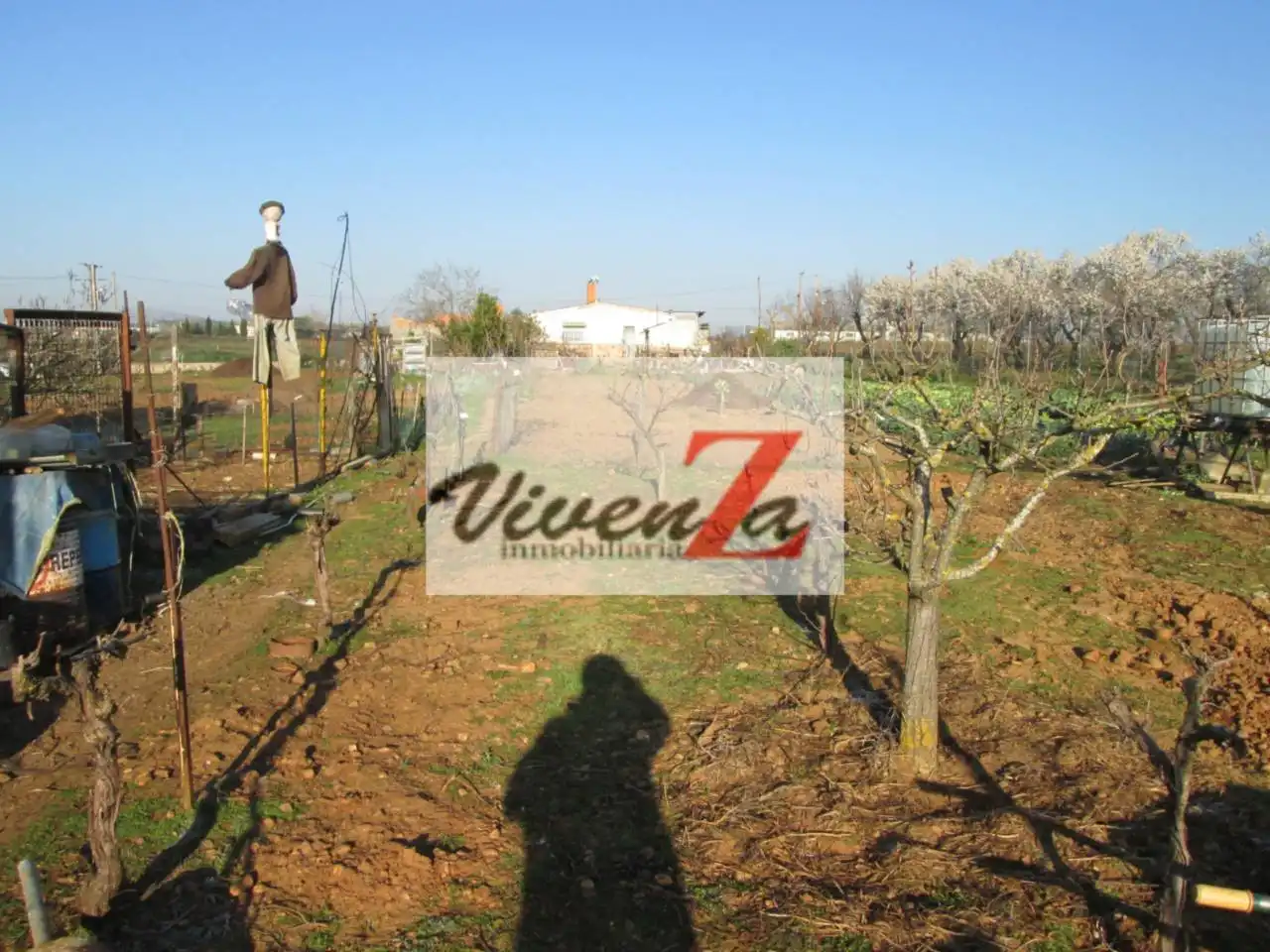 Terreny rústic en venda a Urbanización Siglo XXI - Carretera de Villalpando, imagen 5
