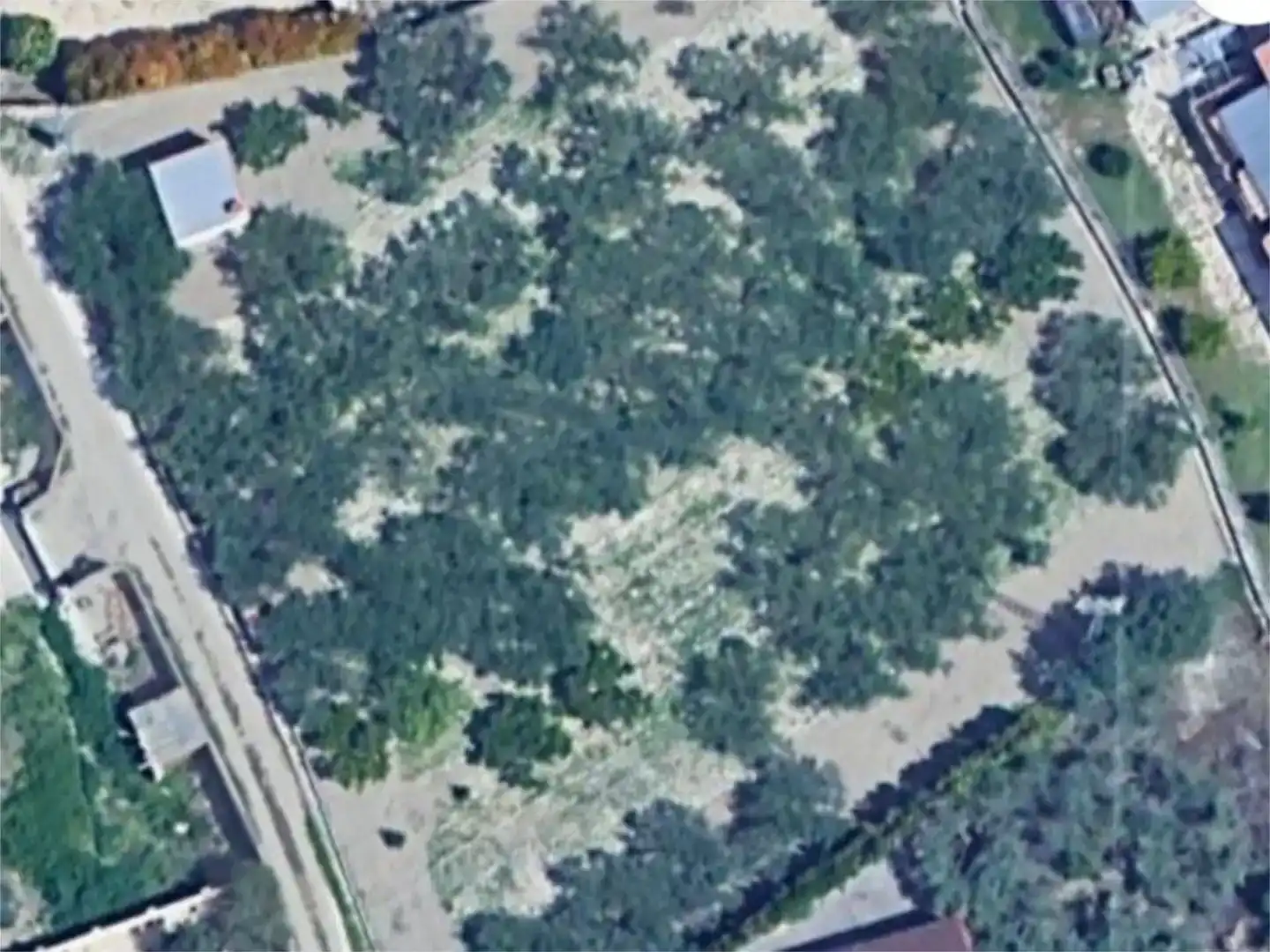 Finca rústica en venta en Ontinyent