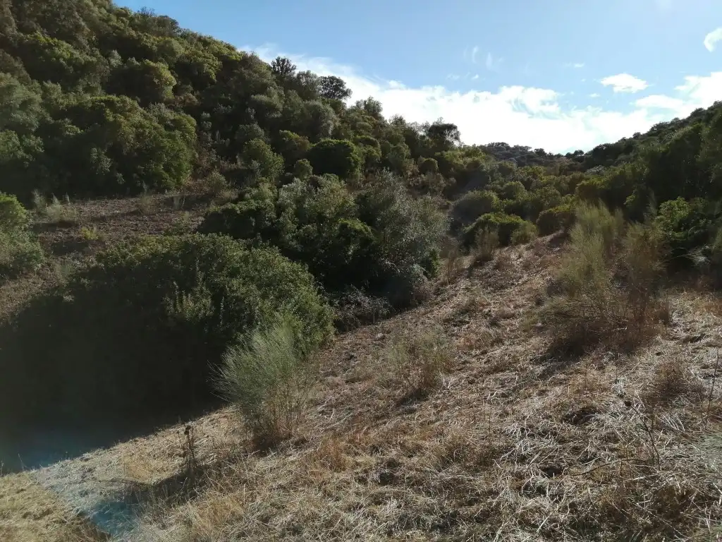 Residential for sale in Morón de la Frontera
