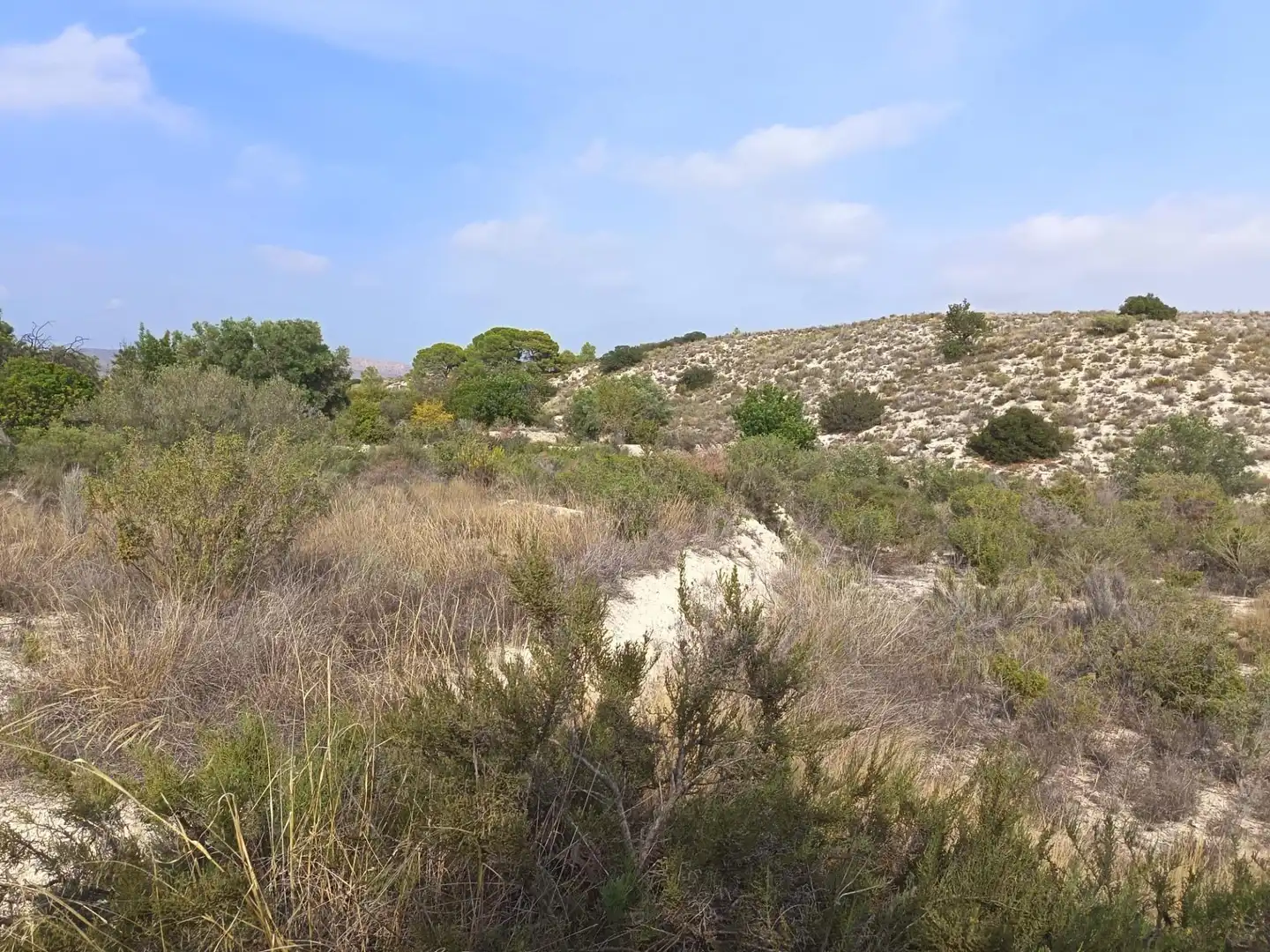 Residencial en venda en Alicante / Alacant