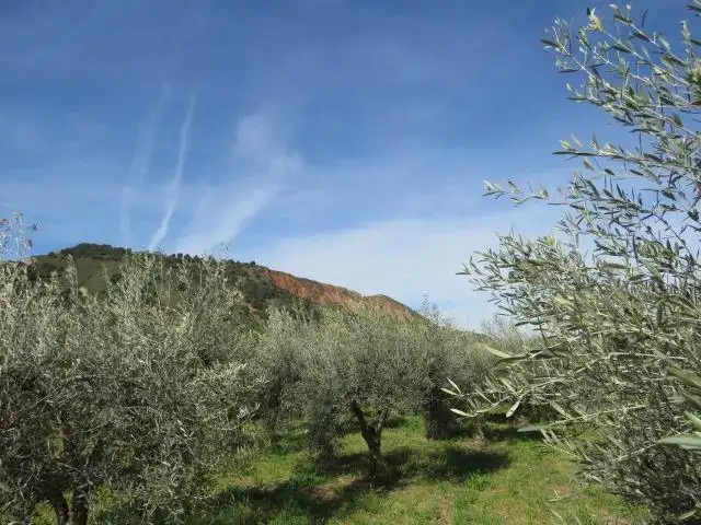 Jardín de Terreno en venta en Cenes de la Vega