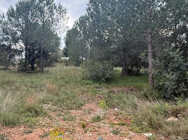 Country house for sale in Onda