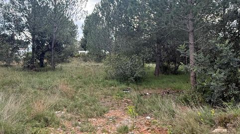 Finca Rúst. en venta en Onda.
