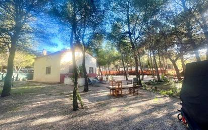 Jardí de Casa o xalet en venda en Tibi amb Terrassa