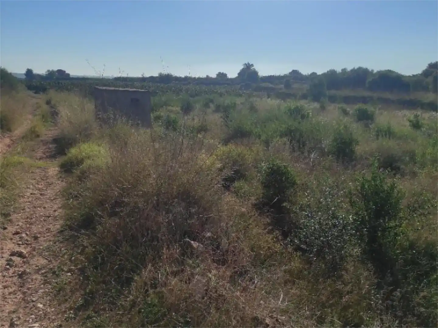 Finca rústica en venta en Picassent
