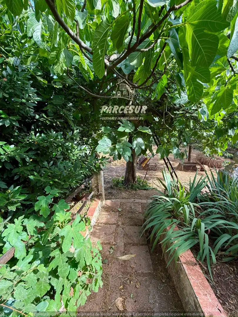 Jardí de Casa o xalet en venda en Córdoba amb Traster i Piscina