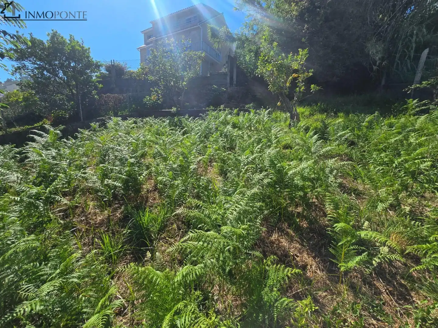 Casa o xalet en venda en Poio amb Jardí privat