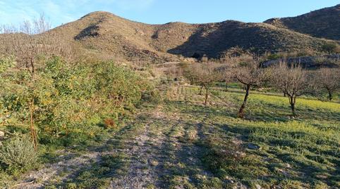 Photo 4 of Land for sale in Pasaje Fuente, la - Ds Puertos, 1, Los Puertos, Murcia