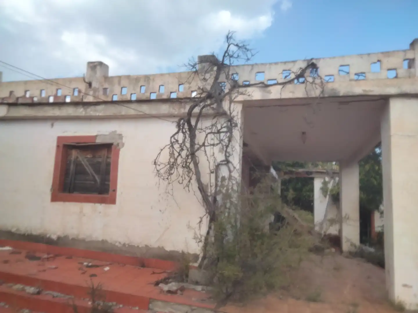Terrain rustique à vendre à Casinos, imagen 13
