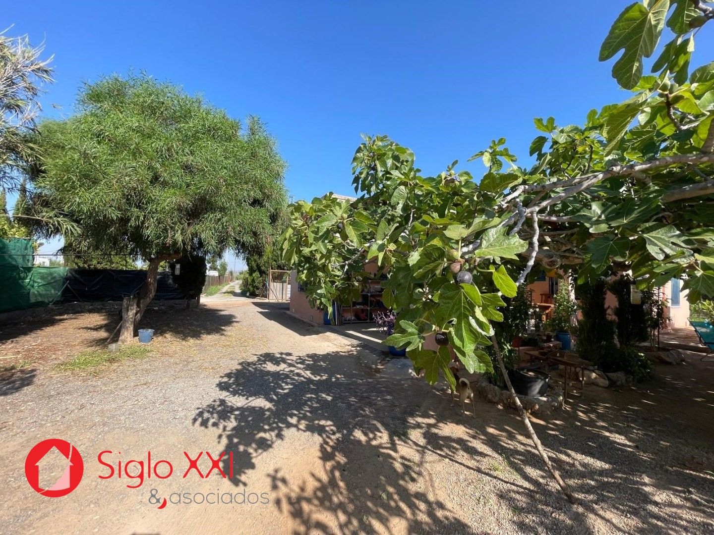 Casa o xalet en venda en Castellón de la Plana / Castelló de la Plana amb Terrassa i Piscina