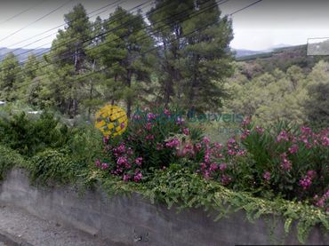Terrenys i solars en venda a Piera
