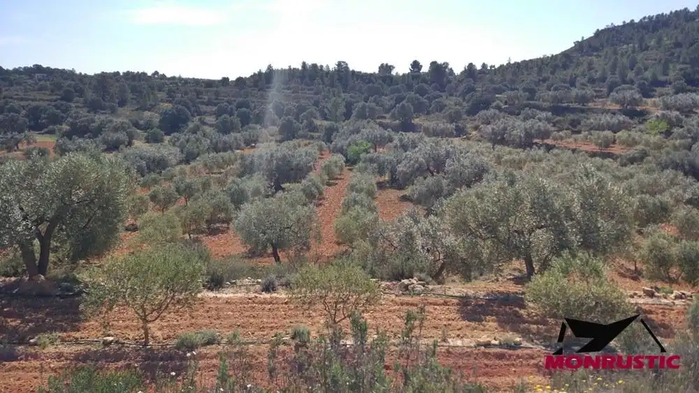 Terrain rustique à vendre à Riba-roja d'Ebre, imagen 17