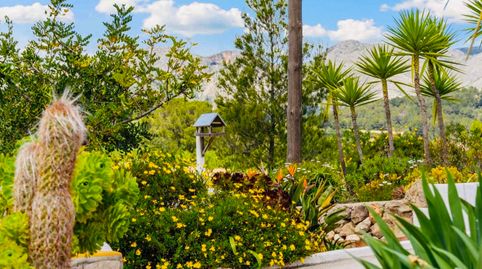 Photo 5 of Houses for sale in Murla, Alicante