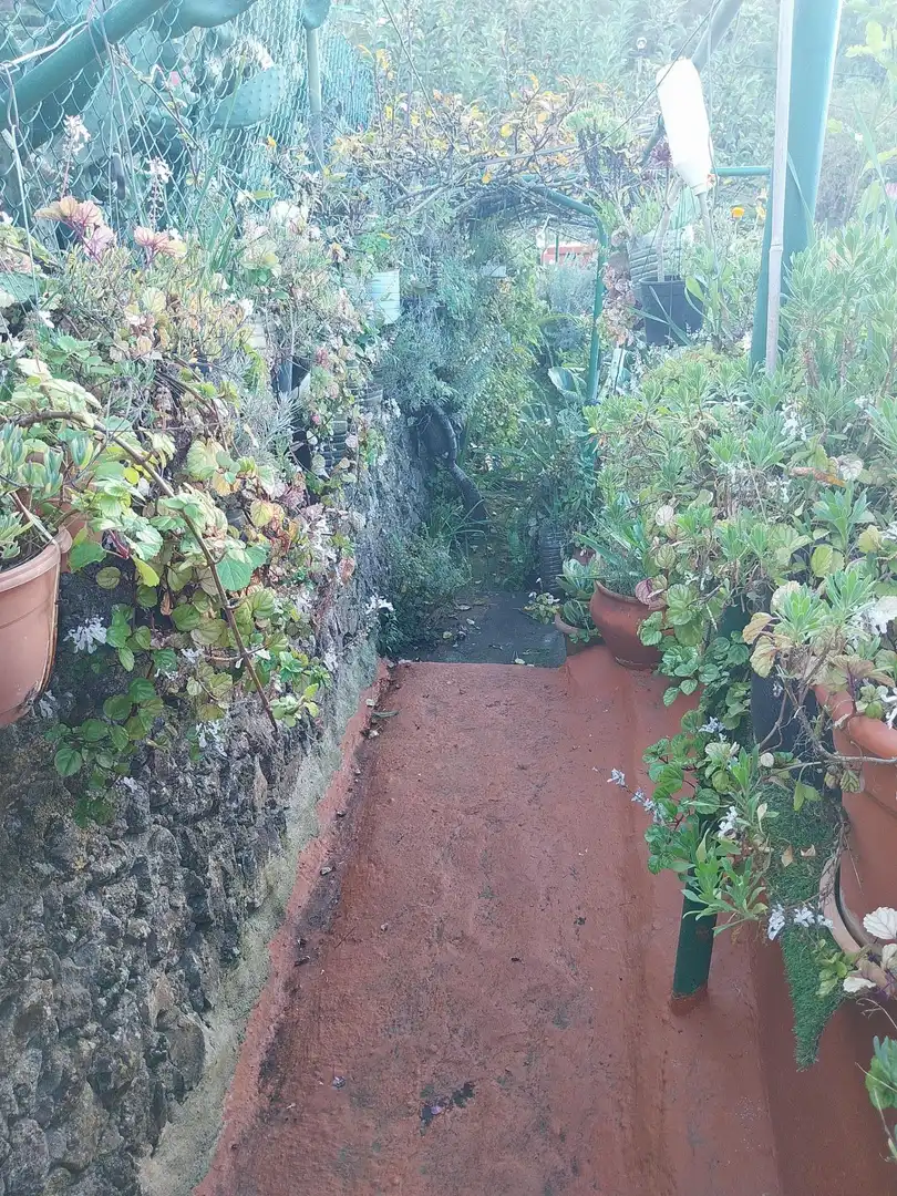 Maison rustique avec jardin à vendre à La Vega - El Amparo - Cueva del Viento, imagen 18