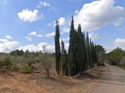 Terreny en venda en Azuébar