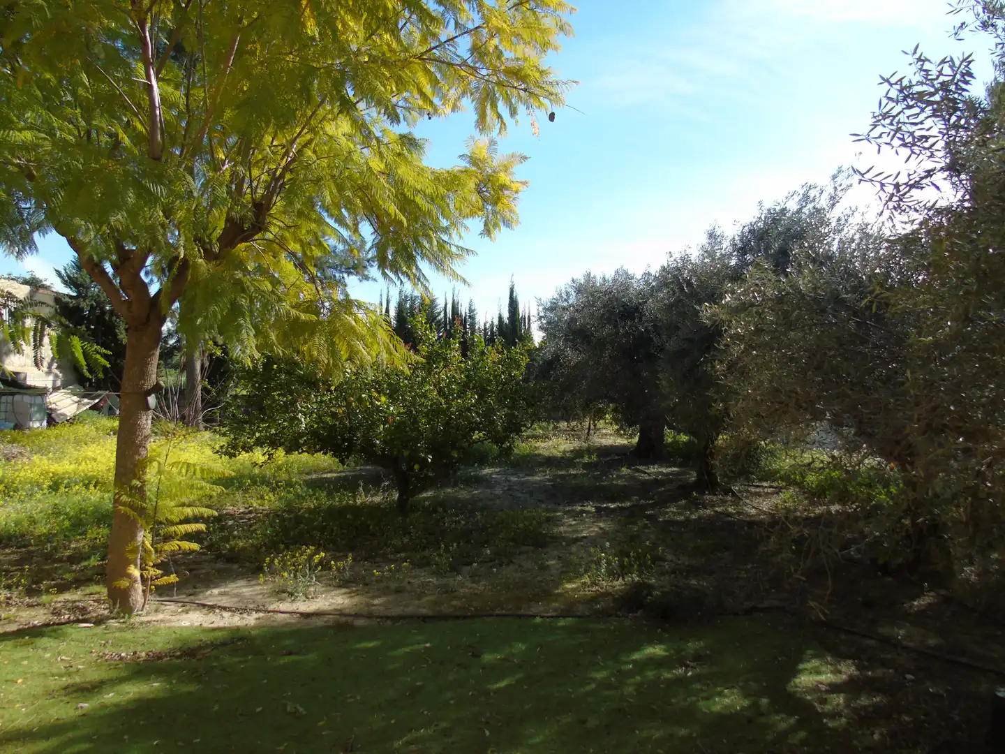 Jardín de Finca rústica en venta en Molina de Segura con Aire acondicionado, Jardín privado y Amueblado