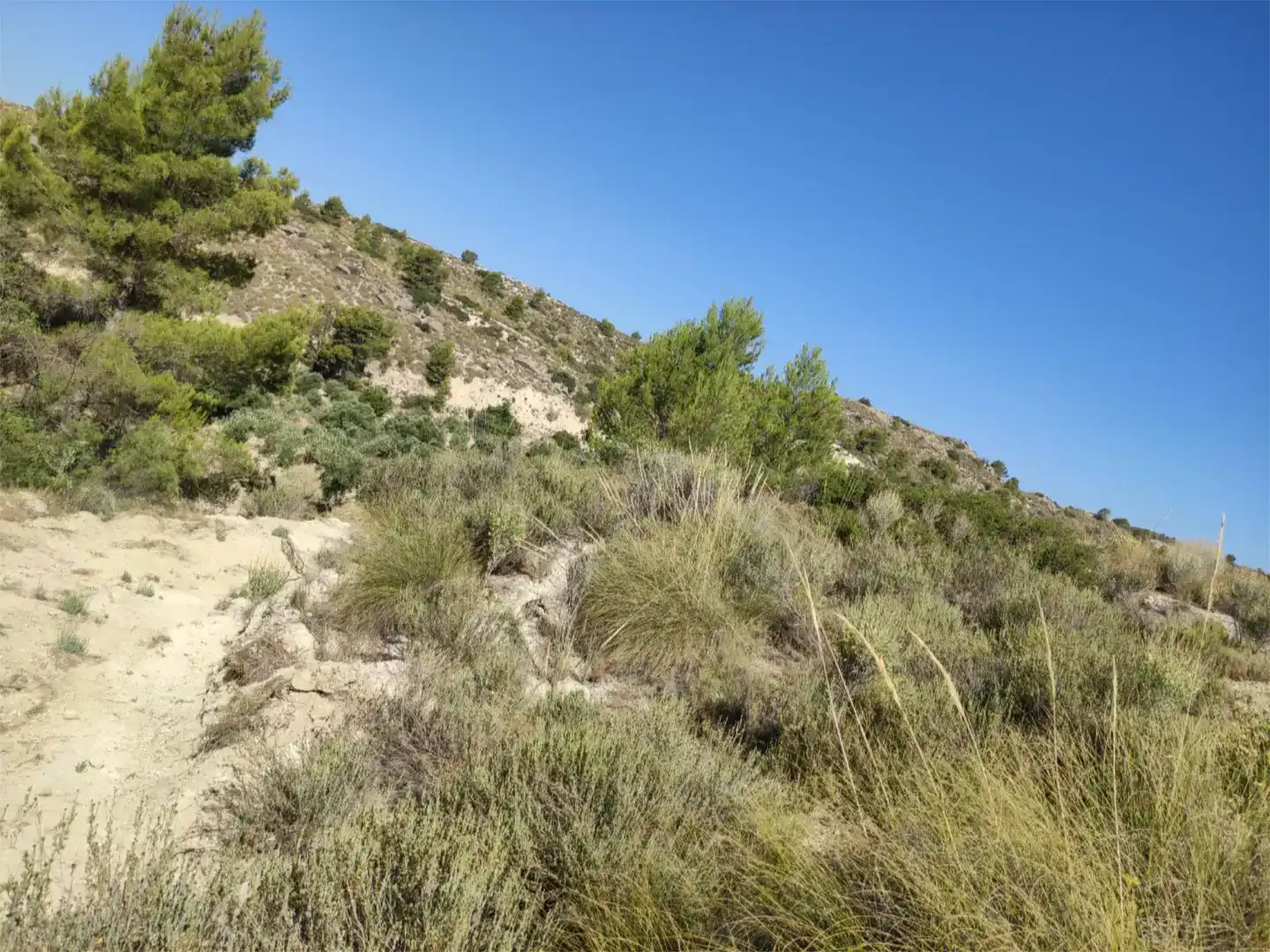 Terreno en venta en Busot