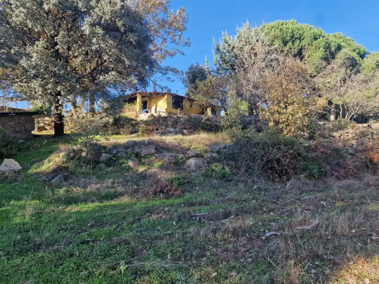 Finca rústica en venda en Jarandilla de la Vera, Cáceres