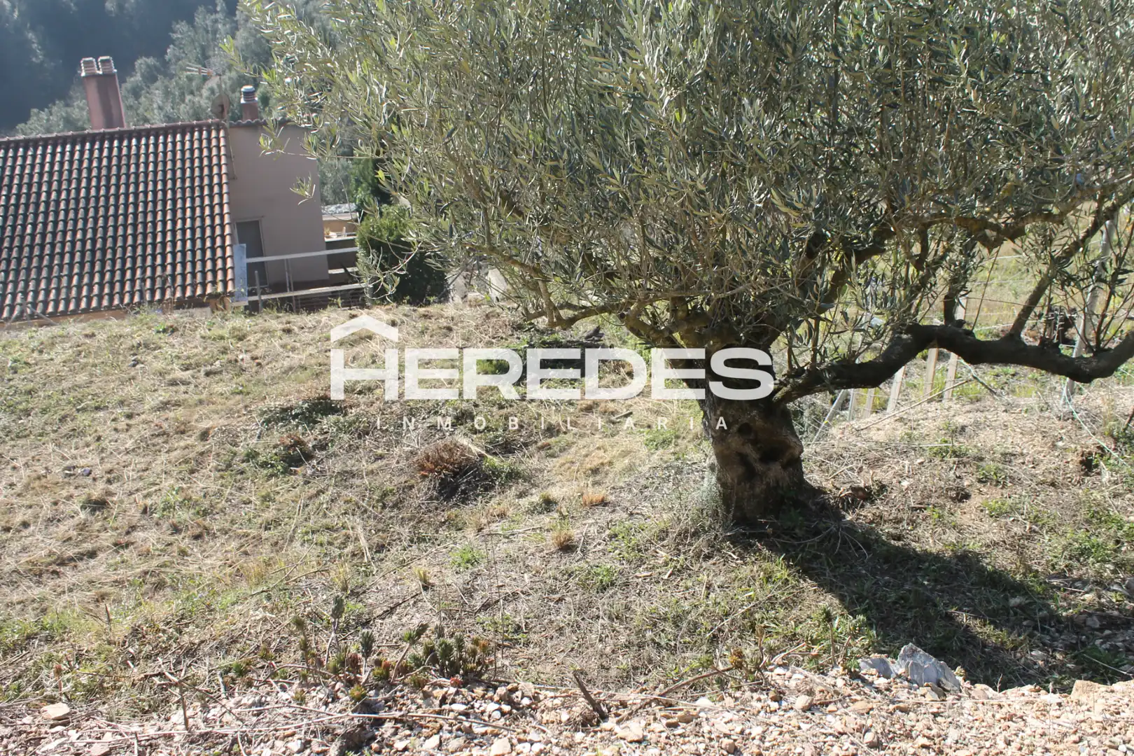 Terrain rustique à vendre à Carrer del Raval Mas 4, imagen 20