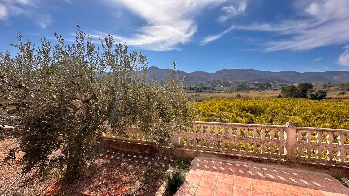 Jardín de Casa o chalet en venta en Benicolet