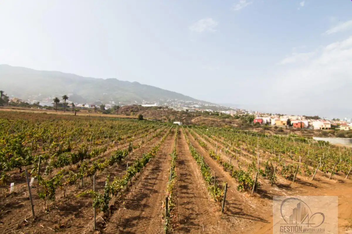 Vista exterior de Finca rústica en venda en Santa Úrsula amb Terrassa i Balcó