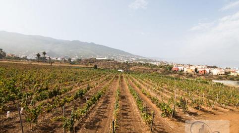 Foto 2 de Finca rústica en venda a La Vera - El Farrobillo - Tosca de Ana María, Santa Cruz de Tenerife