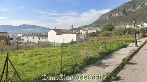 Solar en venta en Algodonales.