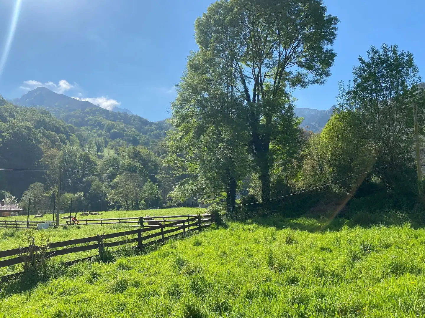 Maison à vendre à Sellaño, imagen 7