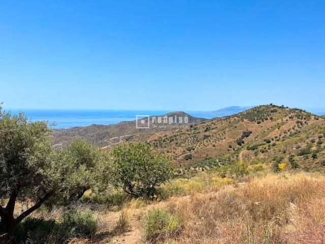 Terreno industrial en Venta en Moclinejo