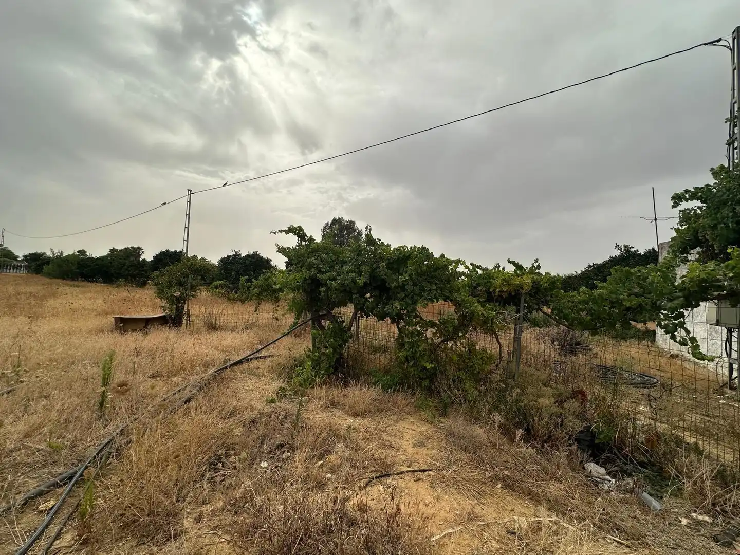 Terreni e lotti in vendita a Pedanías Norte, imagen 11