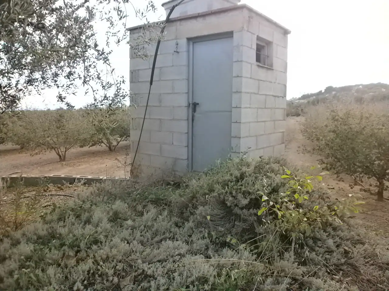 Rural land for sale in Carrer Pont del Cinto, imagen 9