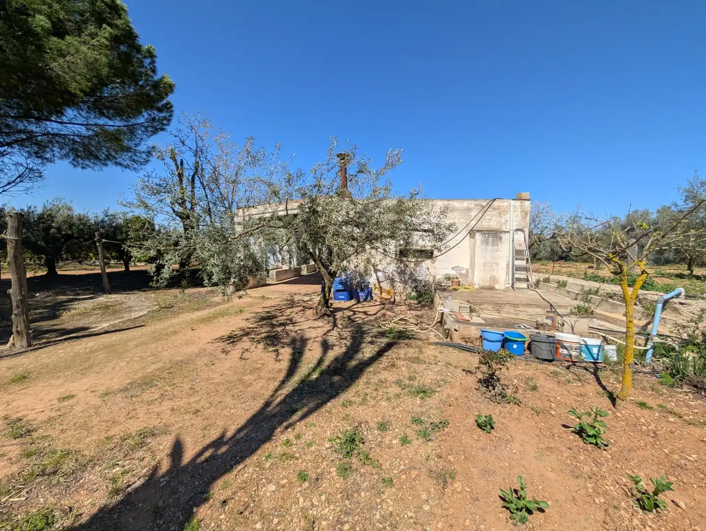 Grundstücke zum Verkauf in Ulldecona