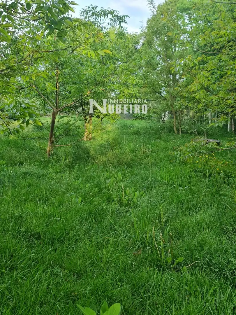 Terreni e lotti in vendita a Nc, imagen 25