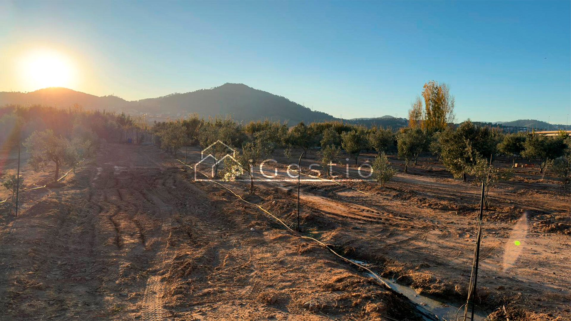 Land for sale in Sant Feliu de Llobregat