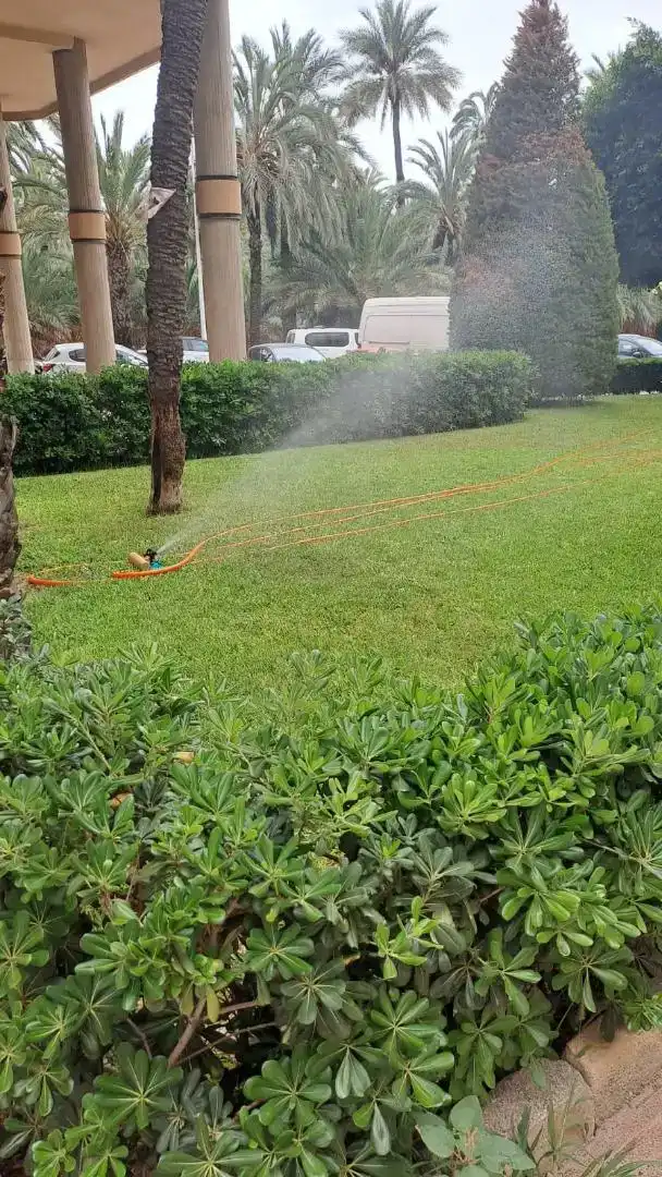Garten von Wohnung zum Verkauf in Elche ciudad
