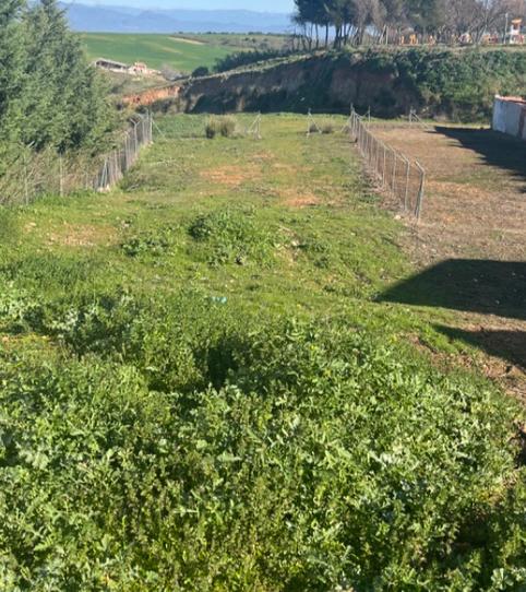 Foto 2 de Residencial en venda a Calle Alguacil, 5, La Pueblanueva, Toledo