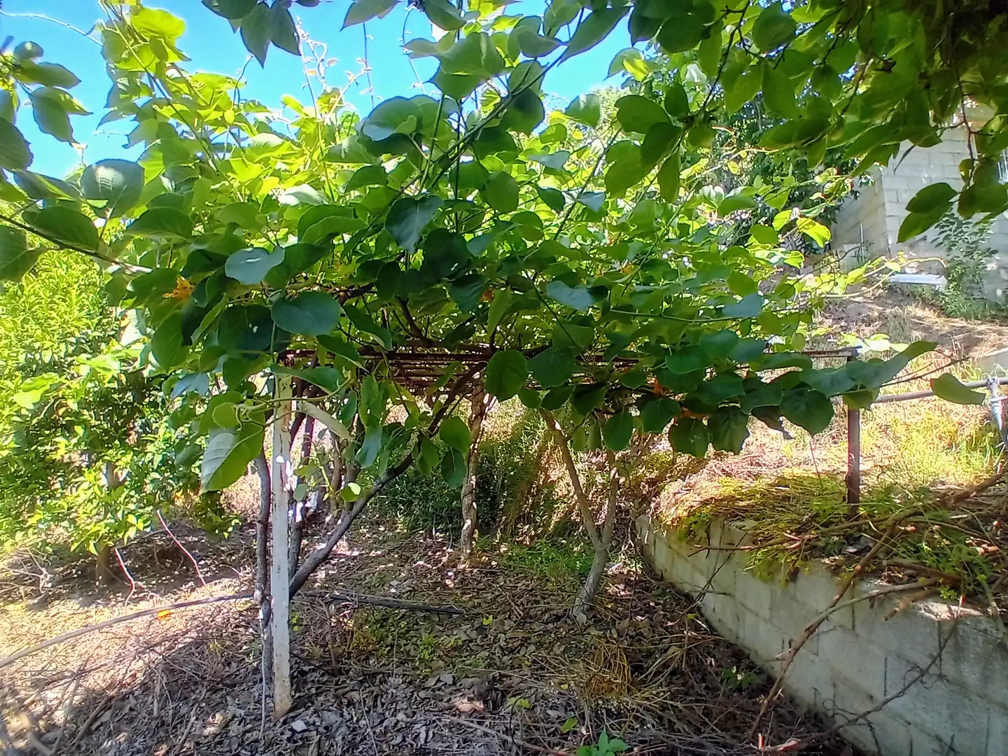 Casa rústica en venda a Yunquera, imagen 33