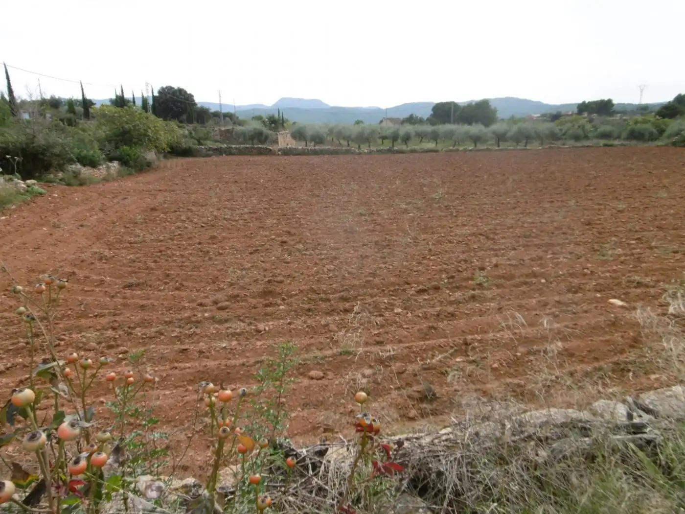 Finca rústica en venta en Useras /  Les Useres