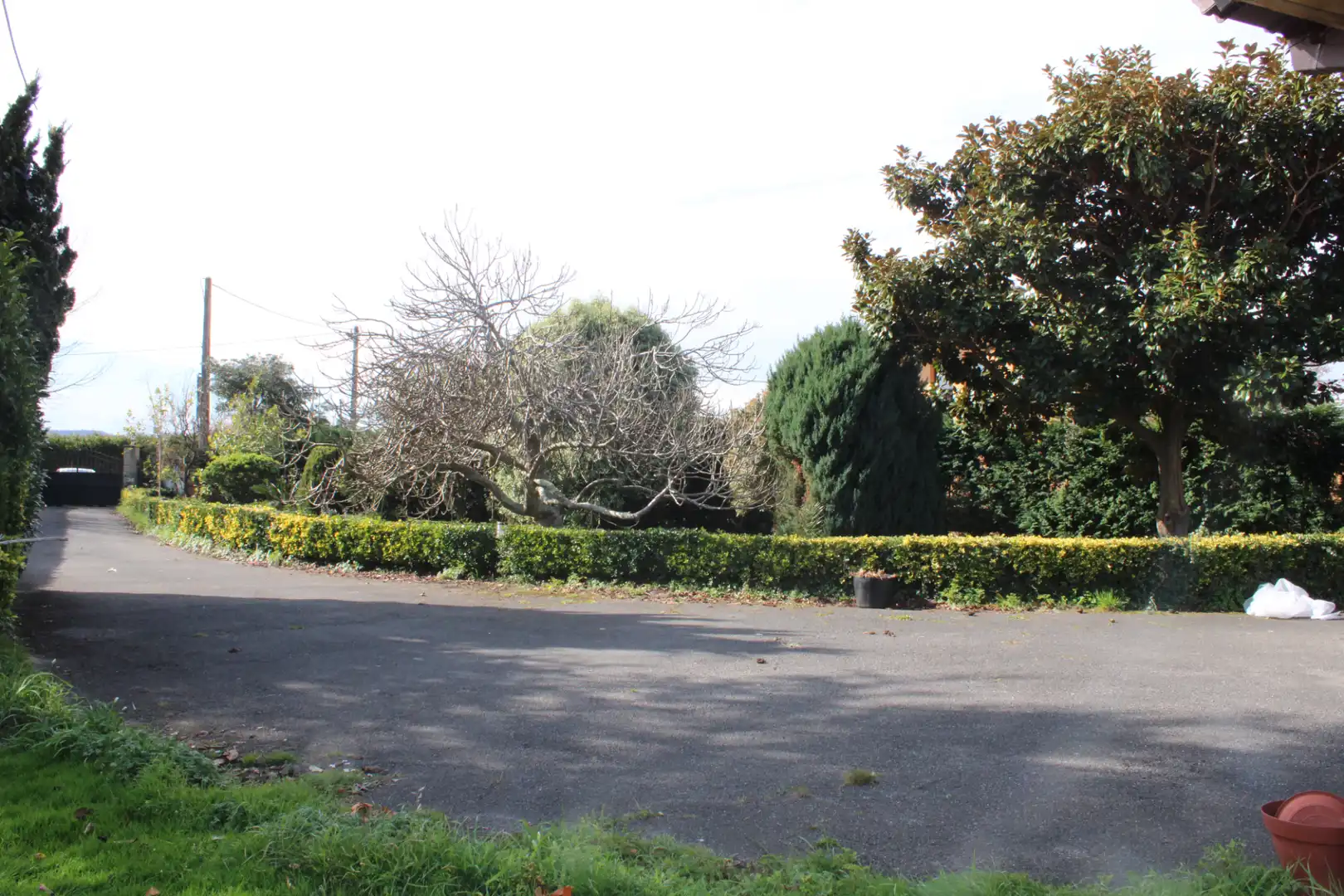 Vista exterior de Casa o xalet en venda en Villaviciosa amb Calefacció, Jardí privat i Terrassa