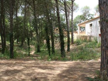 Terrain résidentiel à vendre à Avinguda la Manxa 94