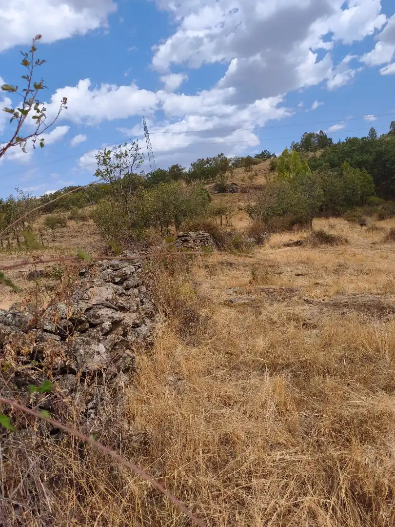 Terreno en venta en Piñuécar-Gandullas