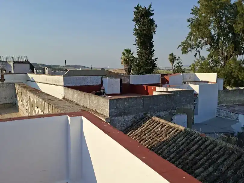 Terrassa de Pis en venda en Bornos amb Aire condicionat, Jardí privat i Moblat