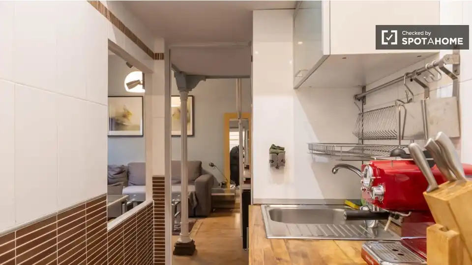 Kitchen of Flat for rent in Madrid  with Air Conditioner, Heating and Furnished