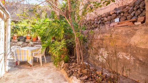 Foto 4 de Finca rústica en venta en Chío, Guía de Isora