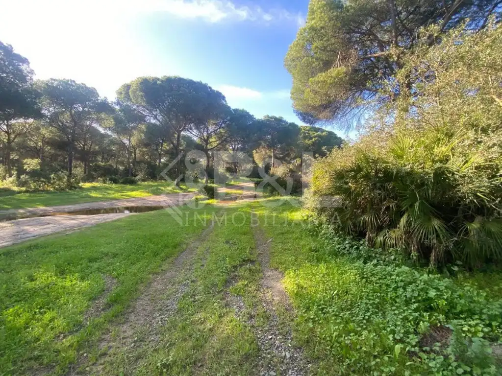 Finca rústica en venta en Gibraleón