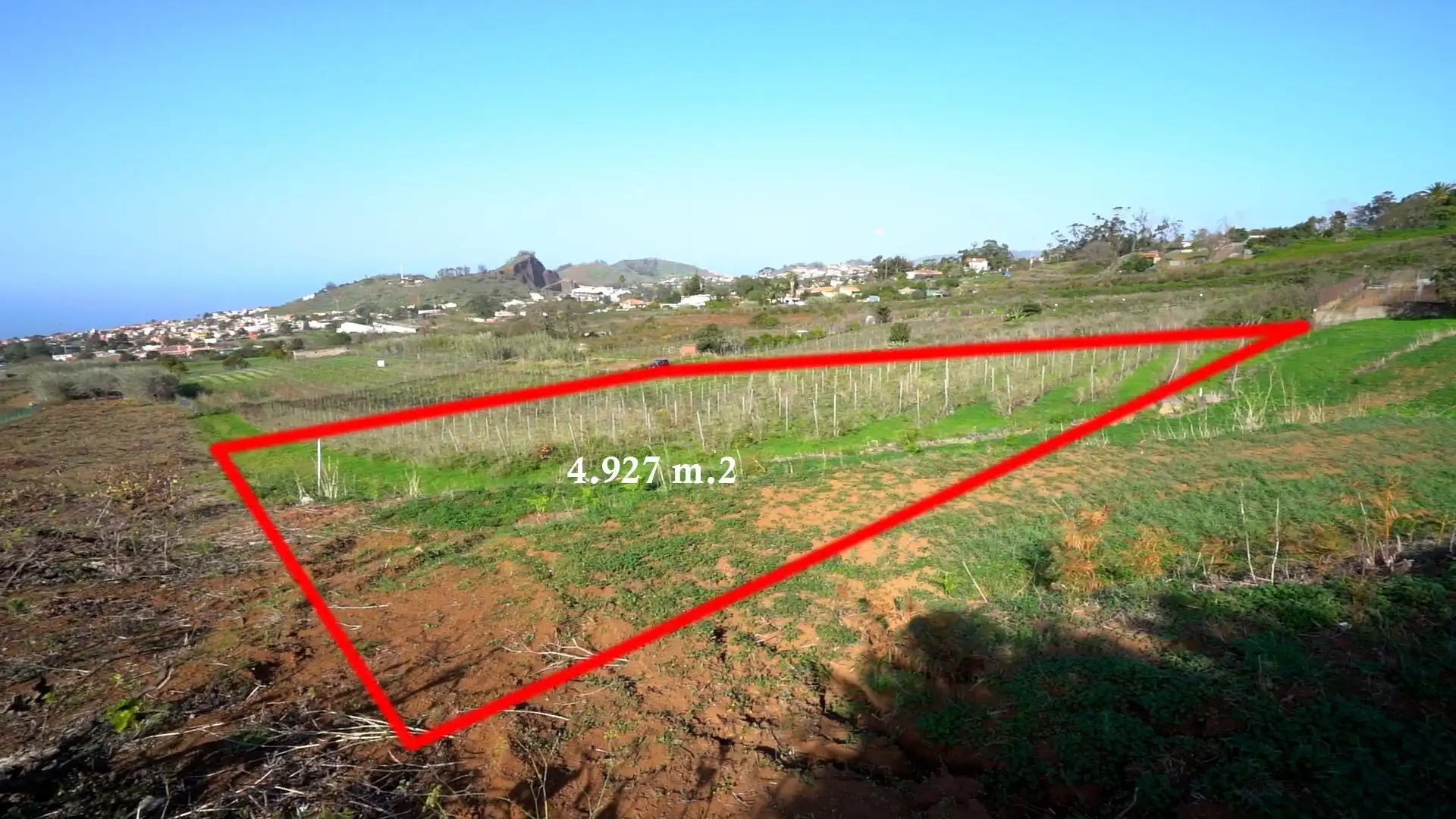 Land for sale in Tacoronte